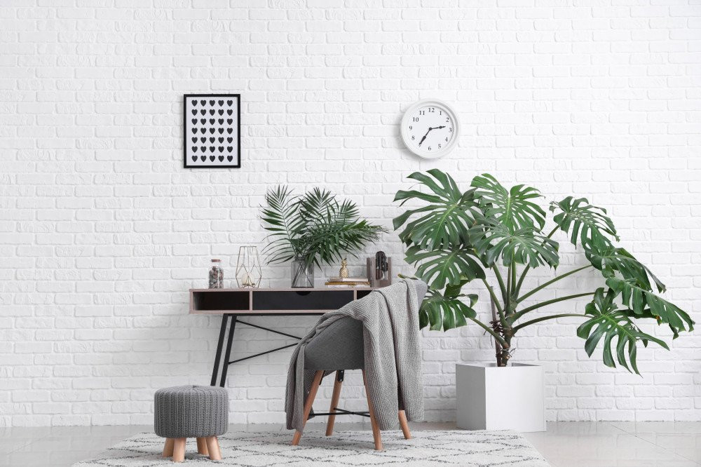 The 9 House Plants in Singapore You Need to Vamp Up Your Home | STYLEGUIDE