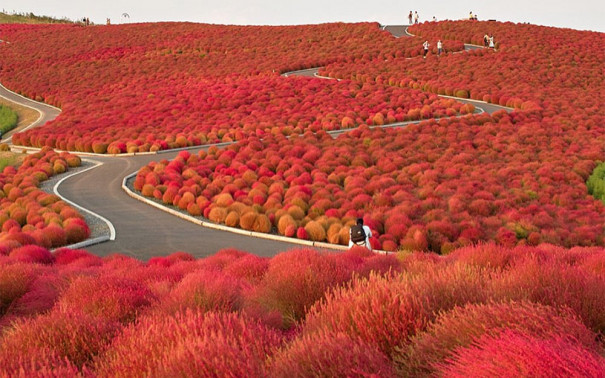 Hidden Gems: Travel destinations around the world most tourists do not know about 