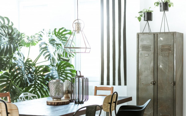 The 9 House Plants in Singapore You Need to Vamp Up Your Home