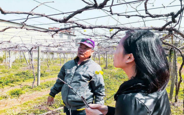 Award-Winning Wineries in Taiwan