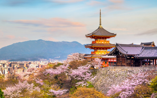 Stunning Shrines and Temples in Japan That Will Leave You Mesmerised